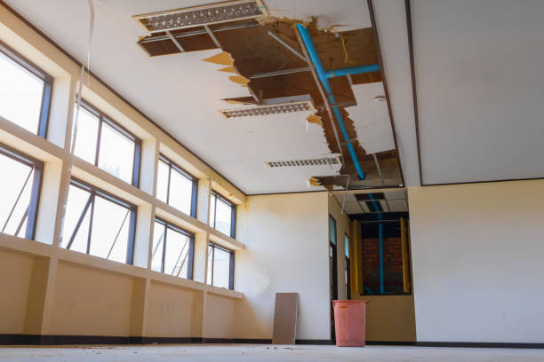 Best Flood damage cleanup  in Kaufman, TX