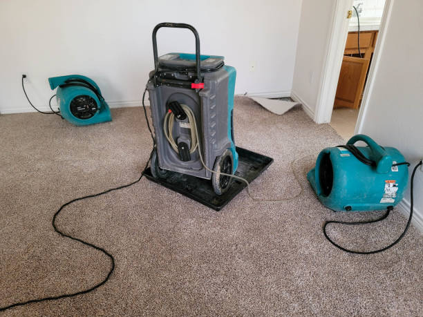 Best Water damage cleanup near me  in Kaufman, TX