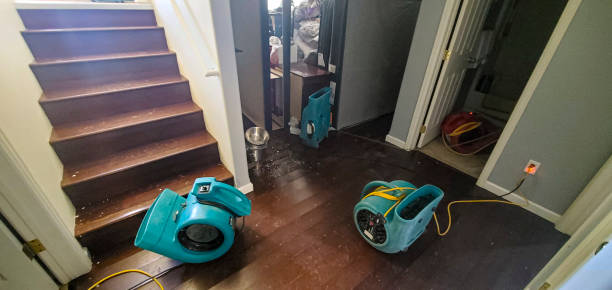 Best Ceiling water damage repair  in Kaufman, TX