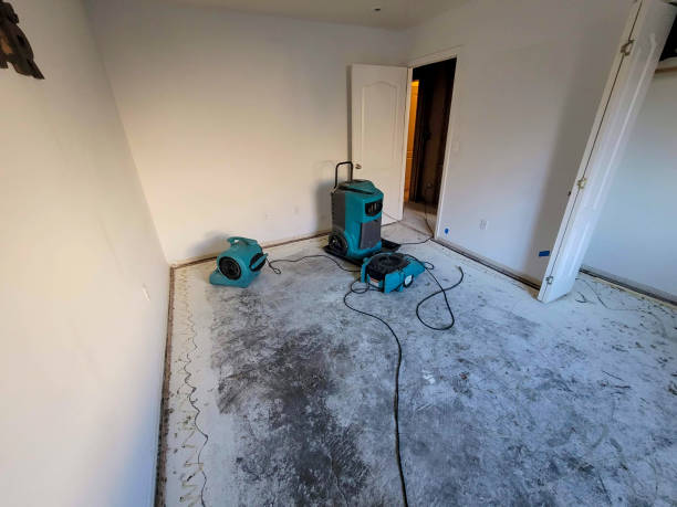 Kaufman, TX Water damage restoration Pros