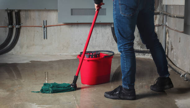 Best Water damage mitigation services  in Kaufman, TX