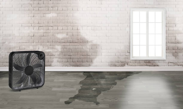 Water damage restoration insurance claims in Kaufman, TX