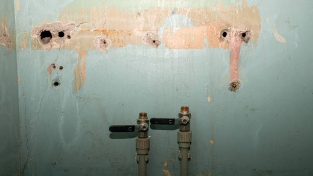 Best Sewage cleanup and water damage restoration  in Kaufman, TX