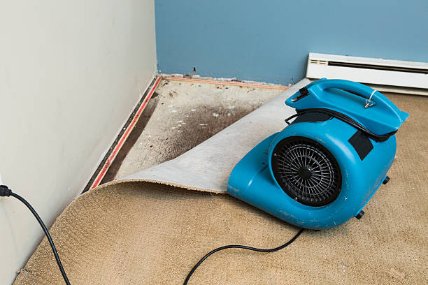 Best Carpet water damage restoration  in Kaufman, TX